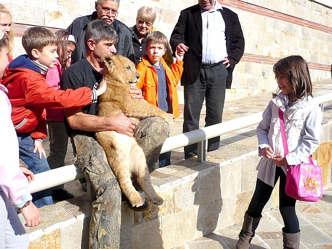 Симбаджи в двора на РИМ - Стара Загора през октомври 2010 година