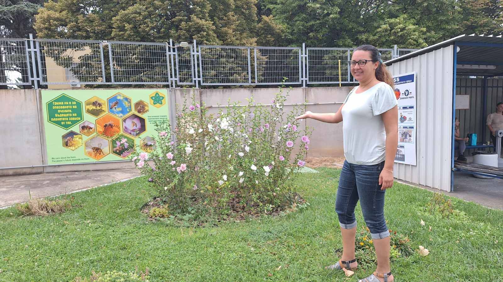 В медоносната градина