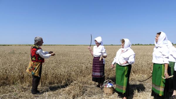 С красив ритуал в новозагорското село Млекарево поставиха началото на жътвата