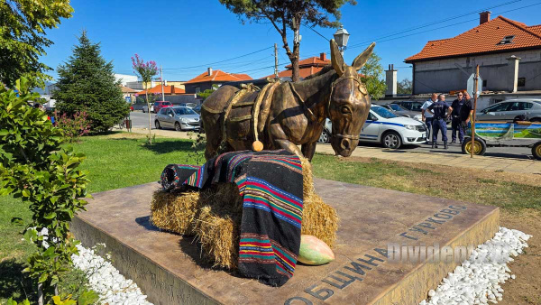 Паметник на магарето и биорали с каруци за празника на град Гурково (ВИДЕО)