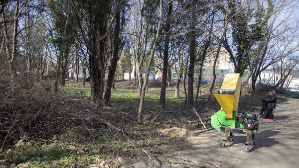 Започна ударно почистване на буренаци по алеите на парк Загорка