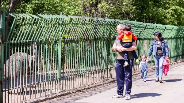 Зоопаркът в Стара Загора получи финансиране от 4,2 млн.лв за пълна реконструкция