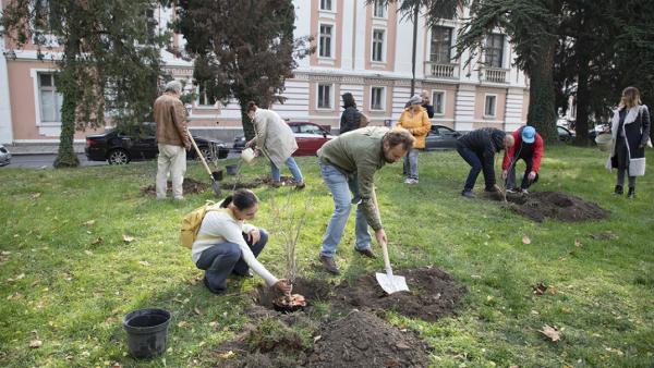 Актьори засадиха предпремиерно вишнева градина край старозагорския театър
