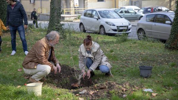 Актьори засадиха предпремиерно вишнева градина край старозагорския театър