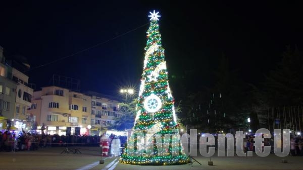 Садят Гора на казанлъшките медици с живи коледни елхи