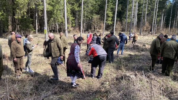 Над 100 дръвчета залесиха ученици и горски за по-зелено бъдеще на България