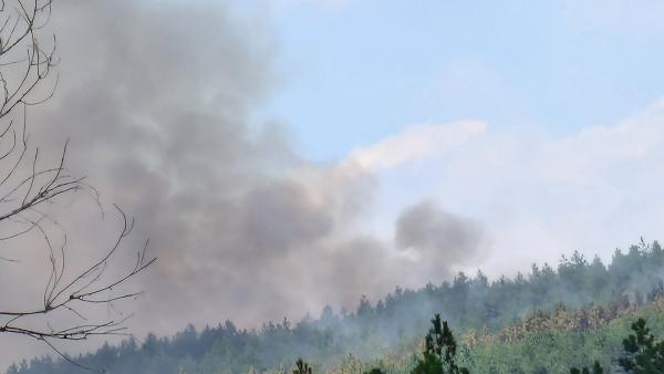 Само за ден на територията на ЮИДП  бушуваха 10 пожара