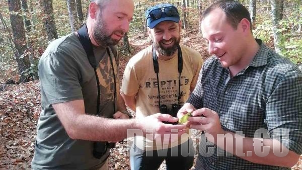 26 лесовъди от ЮИДП преминаха обучение за опазване на защитени видове птици