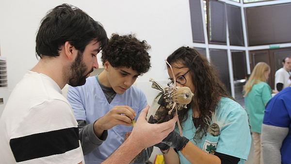 Профилактичен преглед показа добро здравословно състояние на птиците от Старозагорския зоопарк