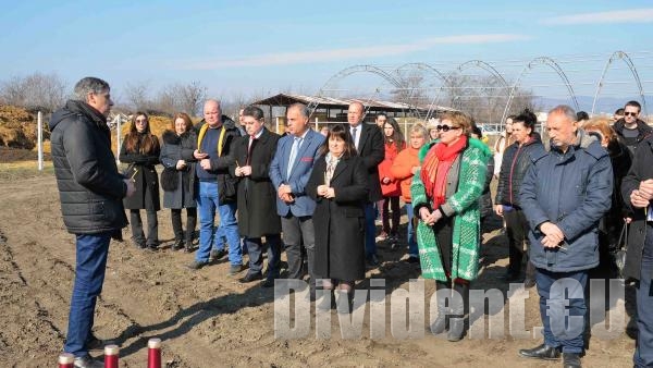 Зарязаха лозята на Тракийски университет за здраве и берекет