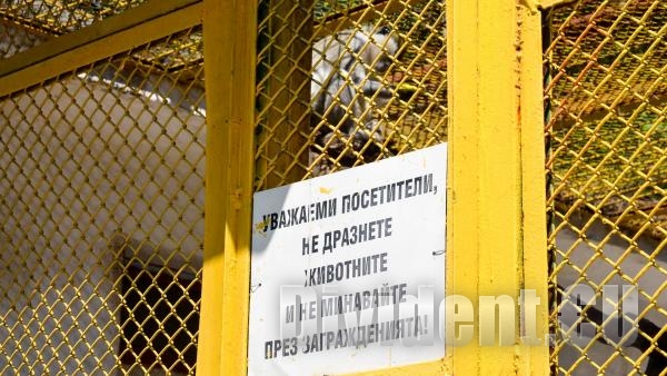 Три деца са били ухапани от животни в зоопарка на Стара Загора през празниците