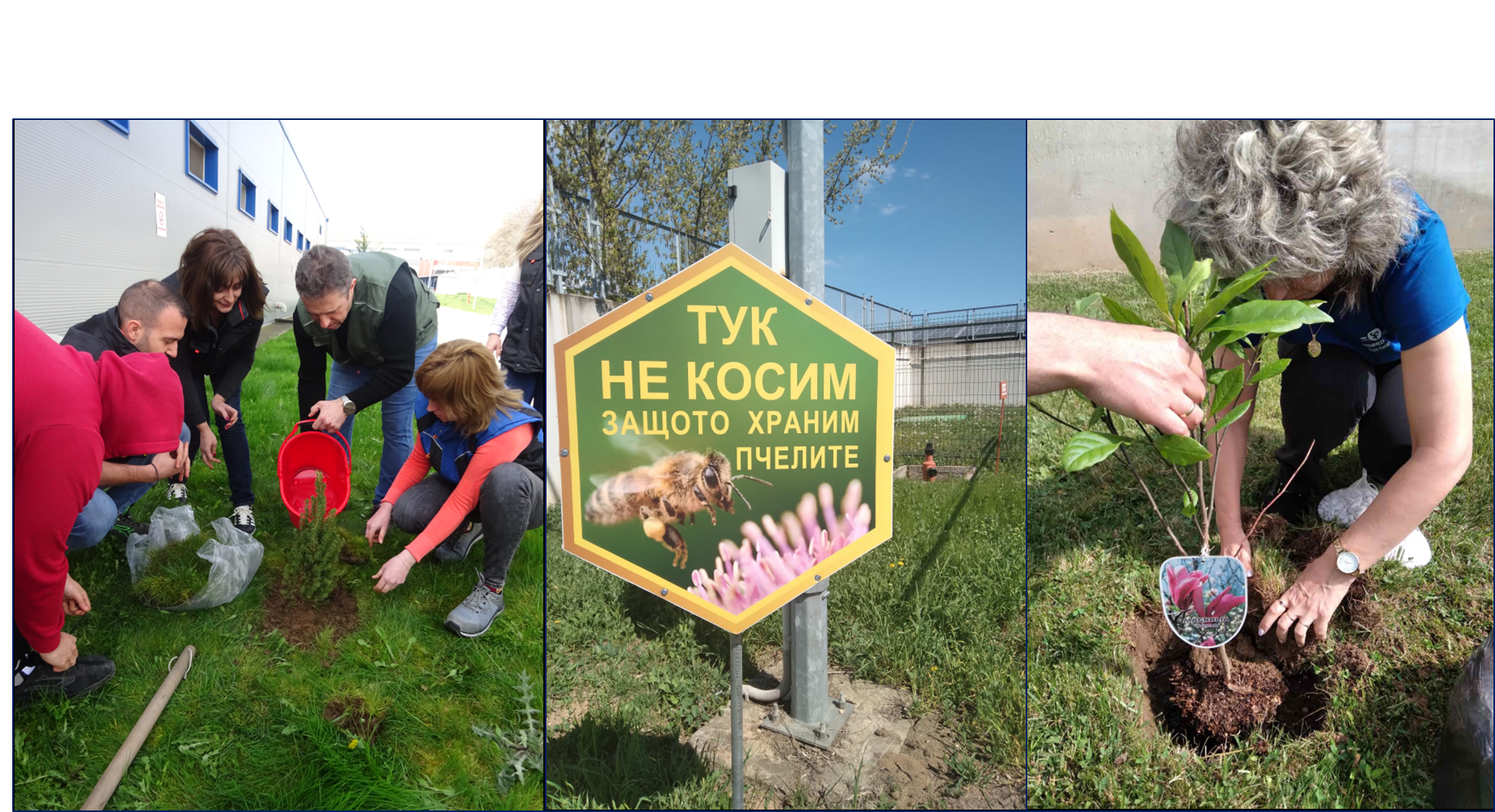 Завод превърна ливада в пчелна градина и спечели награда за устойчиво развитие