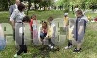 Деца засадиха нови дръвчета в градския парк на Нова Загора