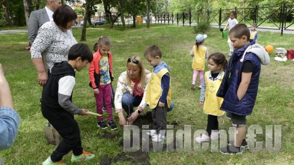 Деца засадиха нови дръвчета в градския парк на Нова Загора