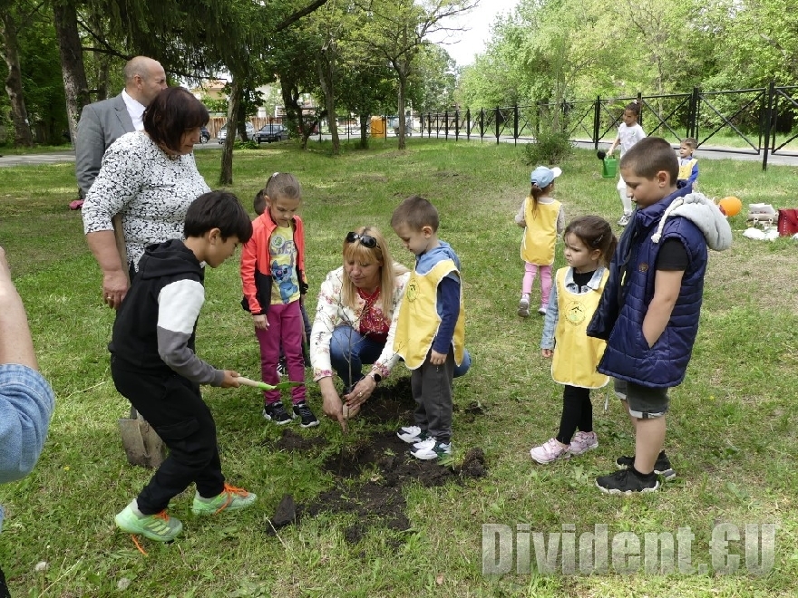 Деца засадиха нови дръвчета в градския парк на Нова Загора