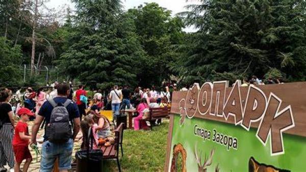 Лятно зооучилище организира за втори път Зоопарк Стара Загора