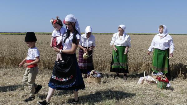 С красив ритуал в новозагорското село Млекарево поставиха началото на жътвата