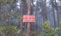 Служителите на  РДПБЗН-Стара Загора са реагирали на 63 сигнала за пожари от 15-ти юли до днес