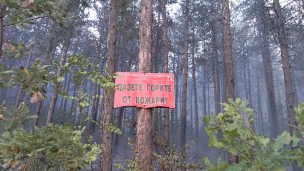 Служителите на  РДПБЗН-Стара Загора са реагирали на 63 сигнала за пожари от 15-ти юли до днес