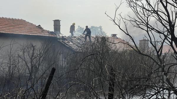 Овладян е пожарът между селата Дълбоки и Оряховица, съобщават от Община Стара Загора