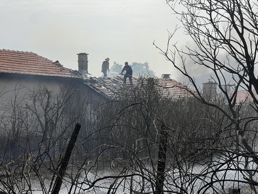 Овладян е пожарът между селата Дълбоки и Оряховица, съобщават от Община Стара Загора