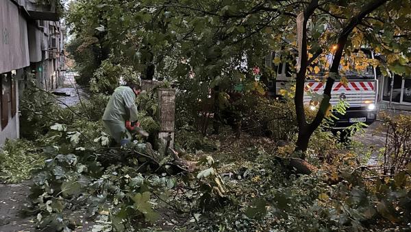 Повалени дървета и наводнена сграда след снощната  буря в Стара Загора