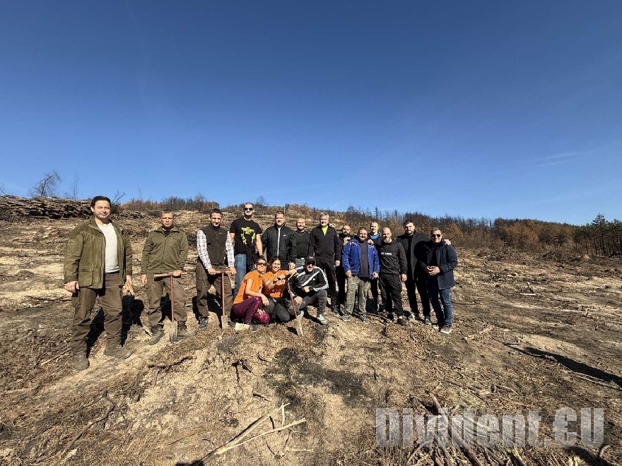 ДГС-Стара Загора и доброволци залесяват опожарена горска територия