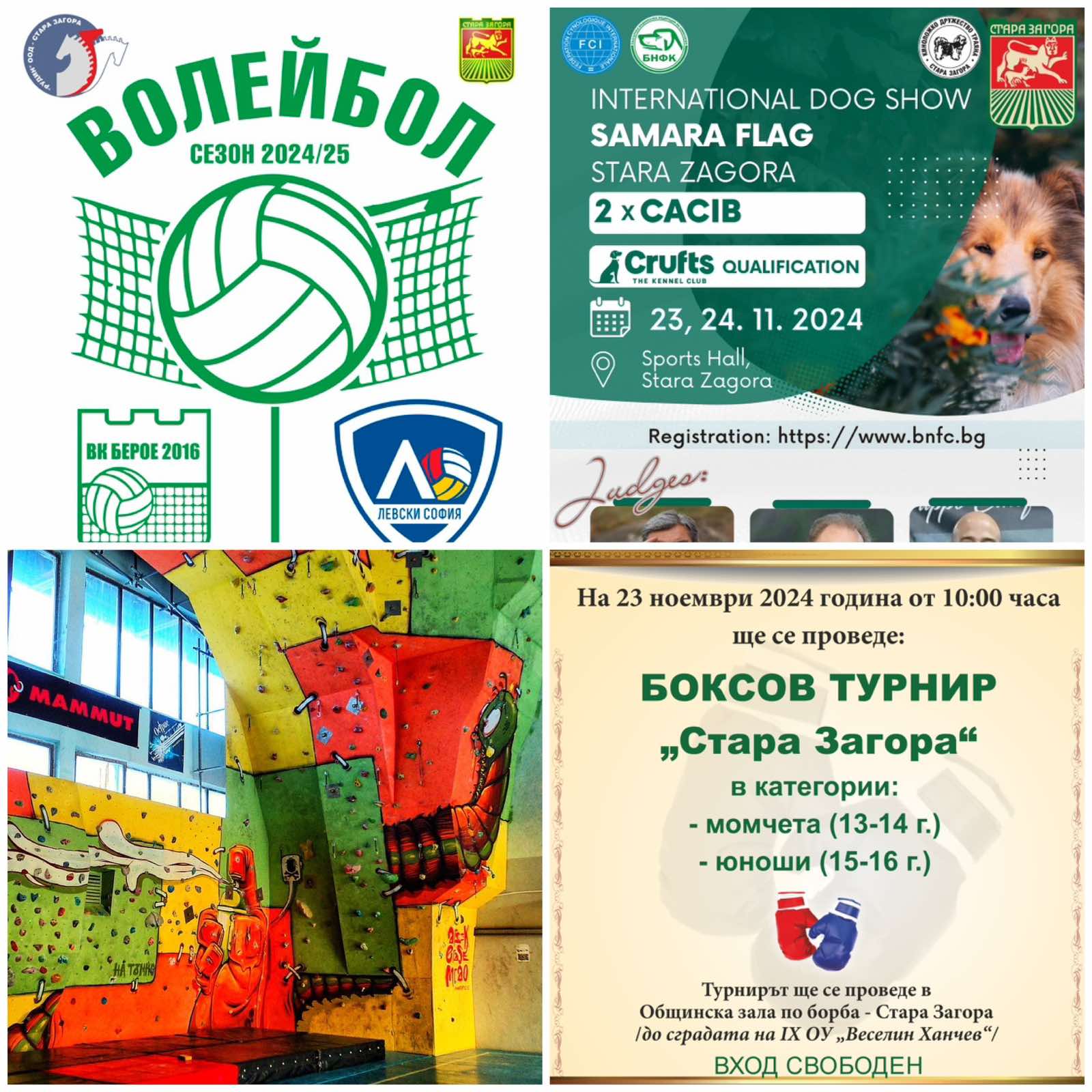 Спортната програма в Стара Загора - състезание по спортно катерене, турнир по бокс, волейболни двубои