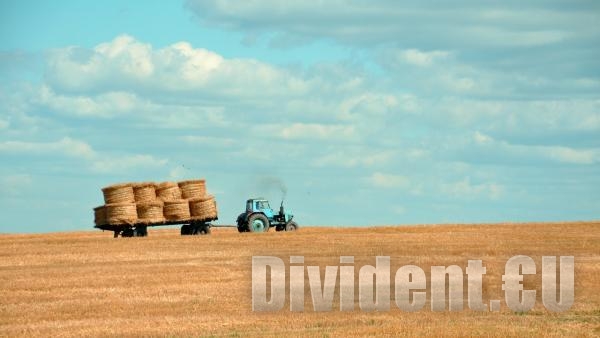 Реколтата от пшеница в Старозагорско - с 30% по-ниска заради сушата