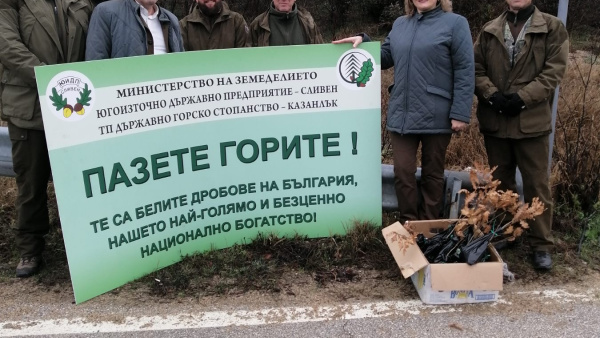 От ДГС Казанлък ще раздадат 500 фиданки за 3 март