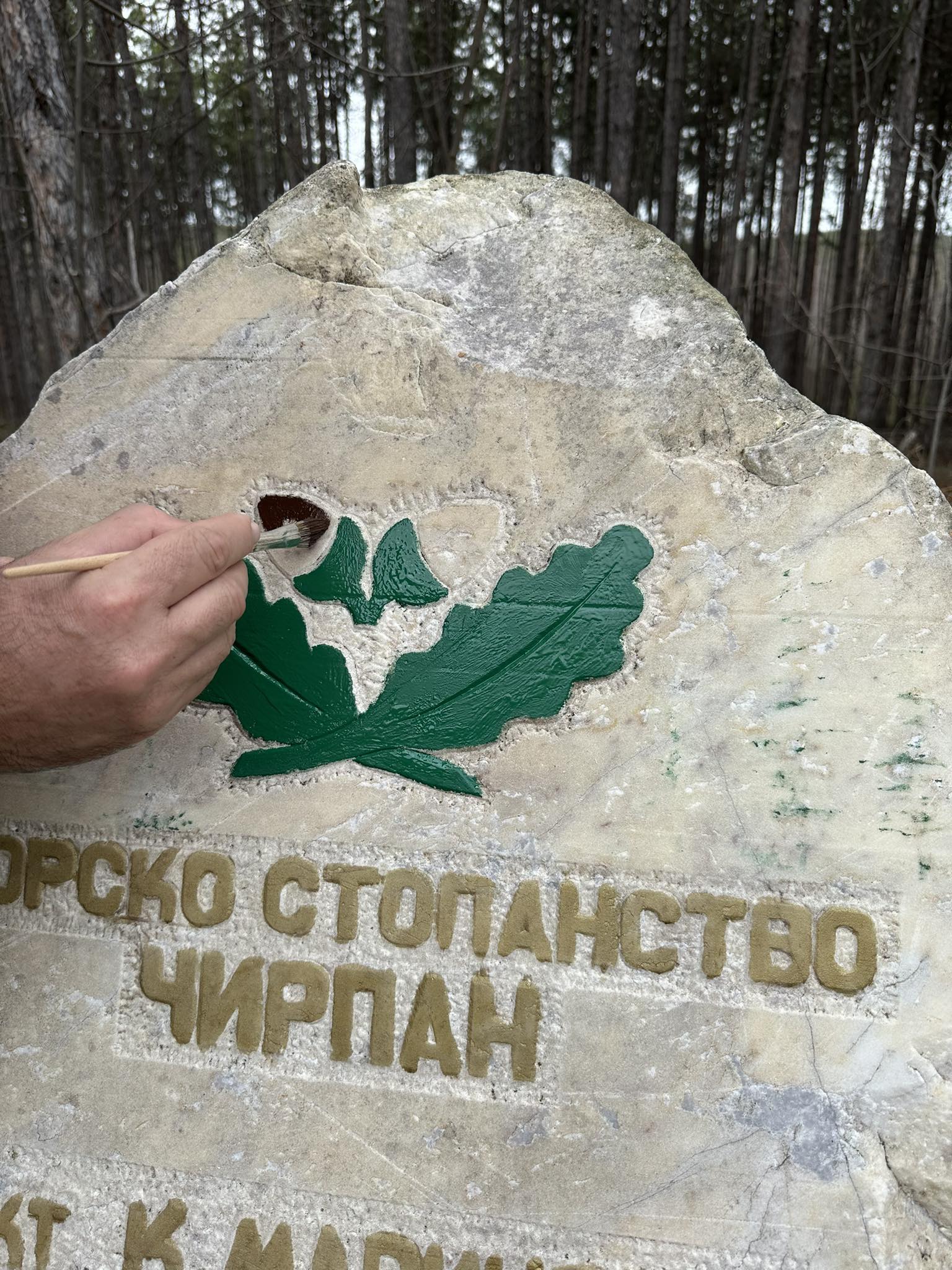 ДГС Чирпан реставрира паметници в чест на залесителите