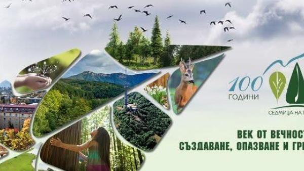 С богата програма ЮИДП ще отбележи Седмица на гората