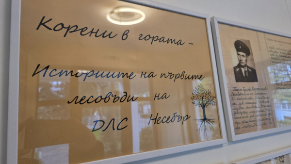 Корени в гората – изложба в чест на първите лесовъди в ДЛС Несебър