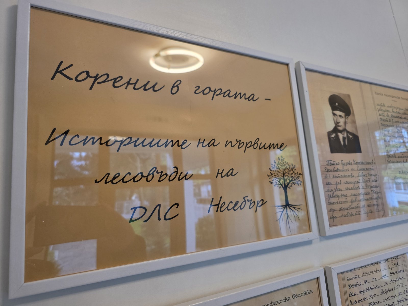 Корени в гората – изложба в чест на първите лесовъди в ДЛС Несебър