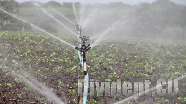 Стимулират фермерите да ползват собствени водоизточници за напояване с изменения в закона