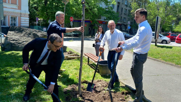 Зам.-кметове засадиха японски вишни в  Зелената алея на бъдещето  в Стара Загора