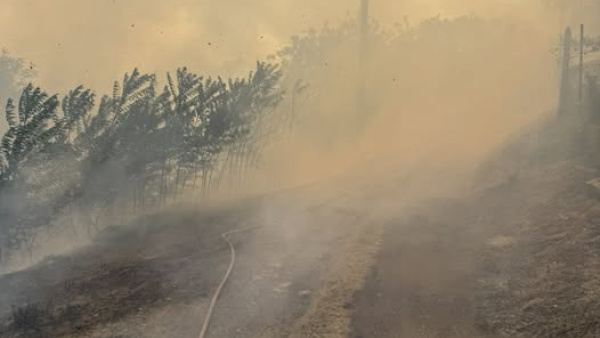Пламна пожар в района на Седмия километър край Стара Загора, очакват доброволци