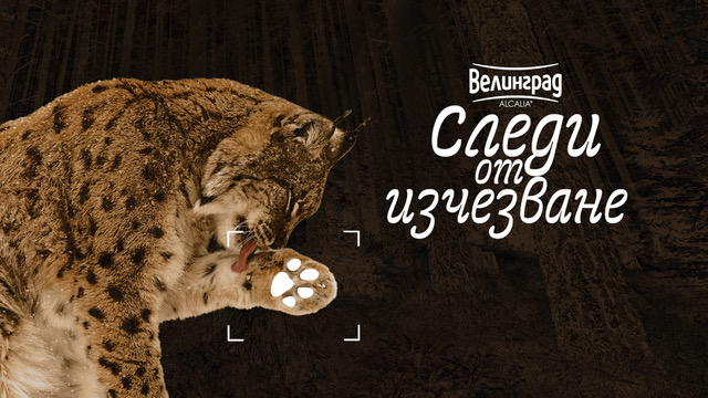 Изчезващите следи на българската природа оживяват в Стара Загора