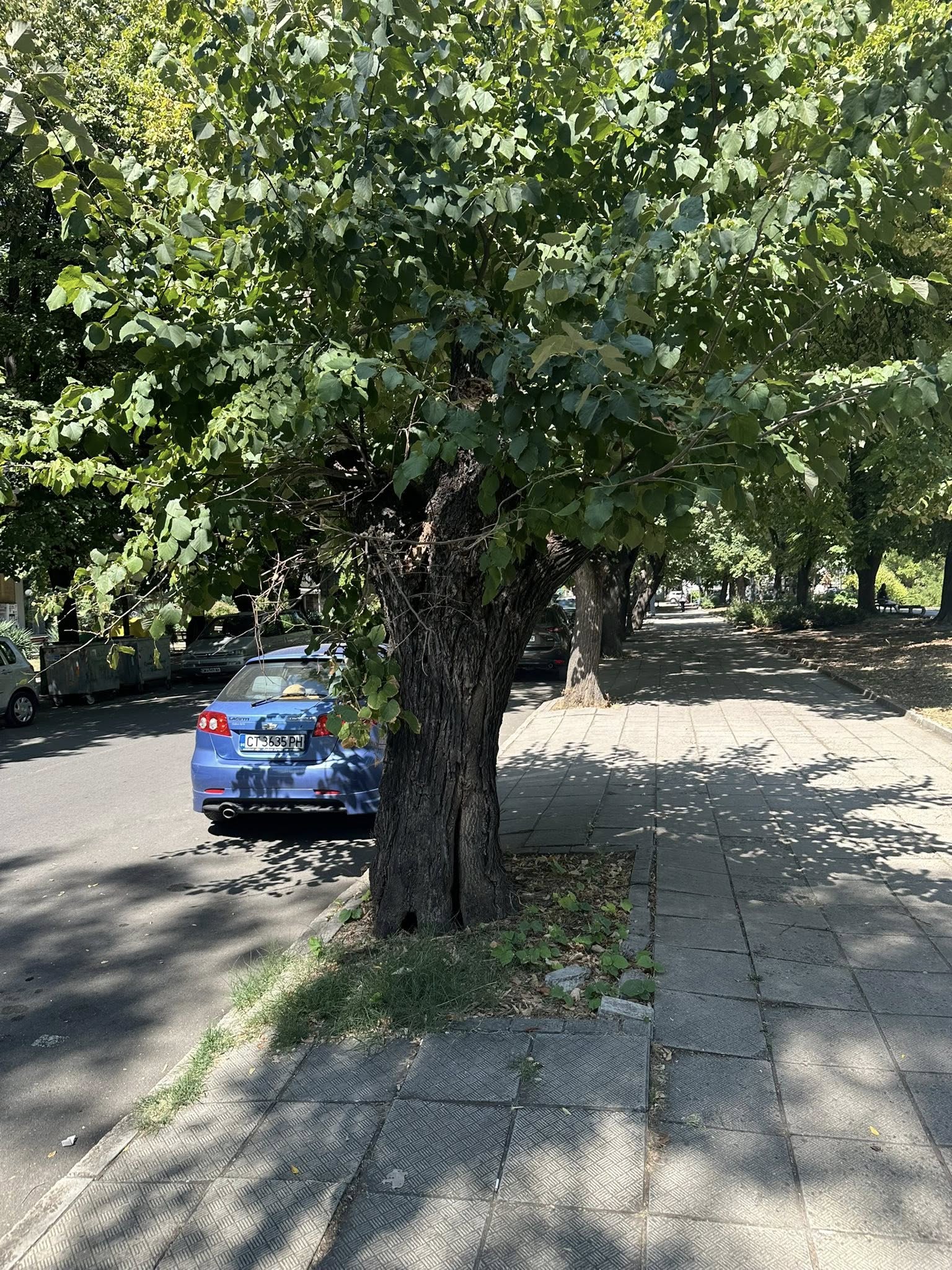 Обходен маршрут за превозни средства от градския транспорт по бул.  Славянски  в Стара Загора утре