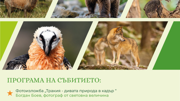 С изложби и филм студентският екоклуб на Тракийския университет отбелязва Световния ден на животните