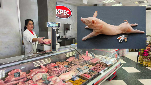 Малки прасенца са новият хит в магазини  Крес  преди Коледа и Нова година