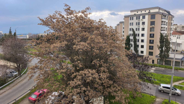 За повишето внимание заради силен вятър призовават от Пожарната