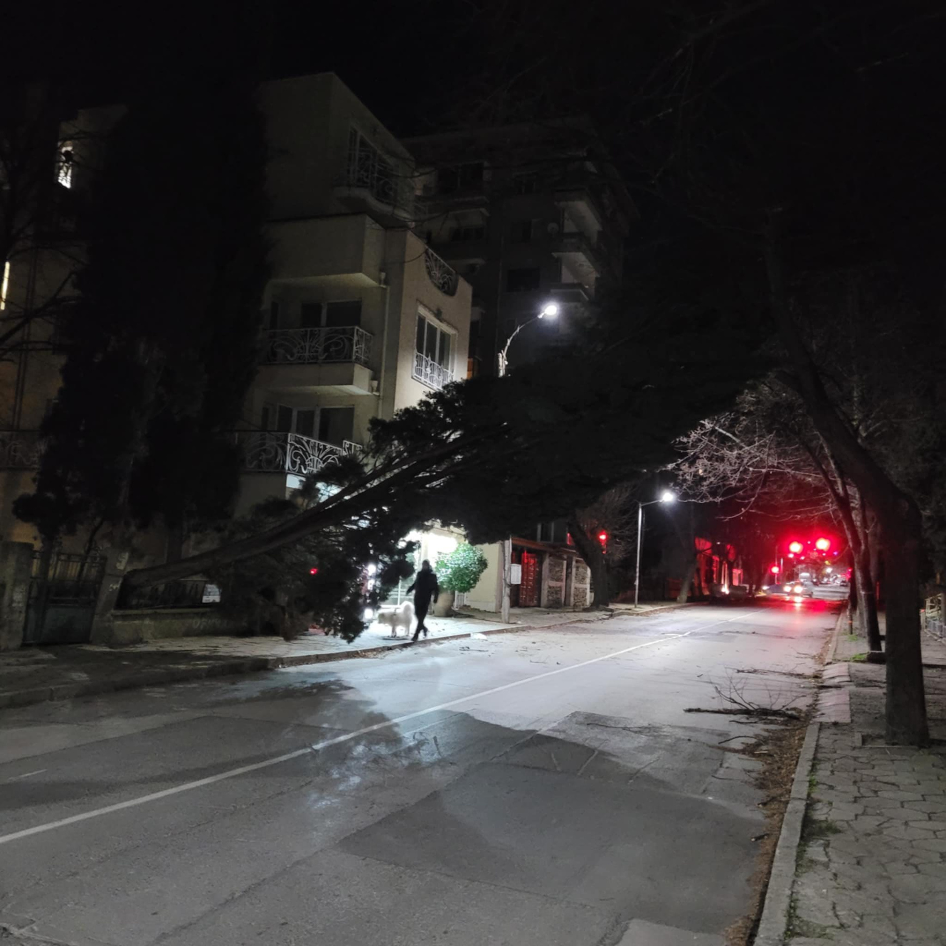 Силният вятър остави без ток райони и селища в Старозагорско