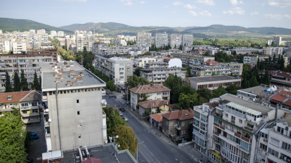 В Стара Загора наложиха глоби за окастряне на дървета и незаконна търговия на открито