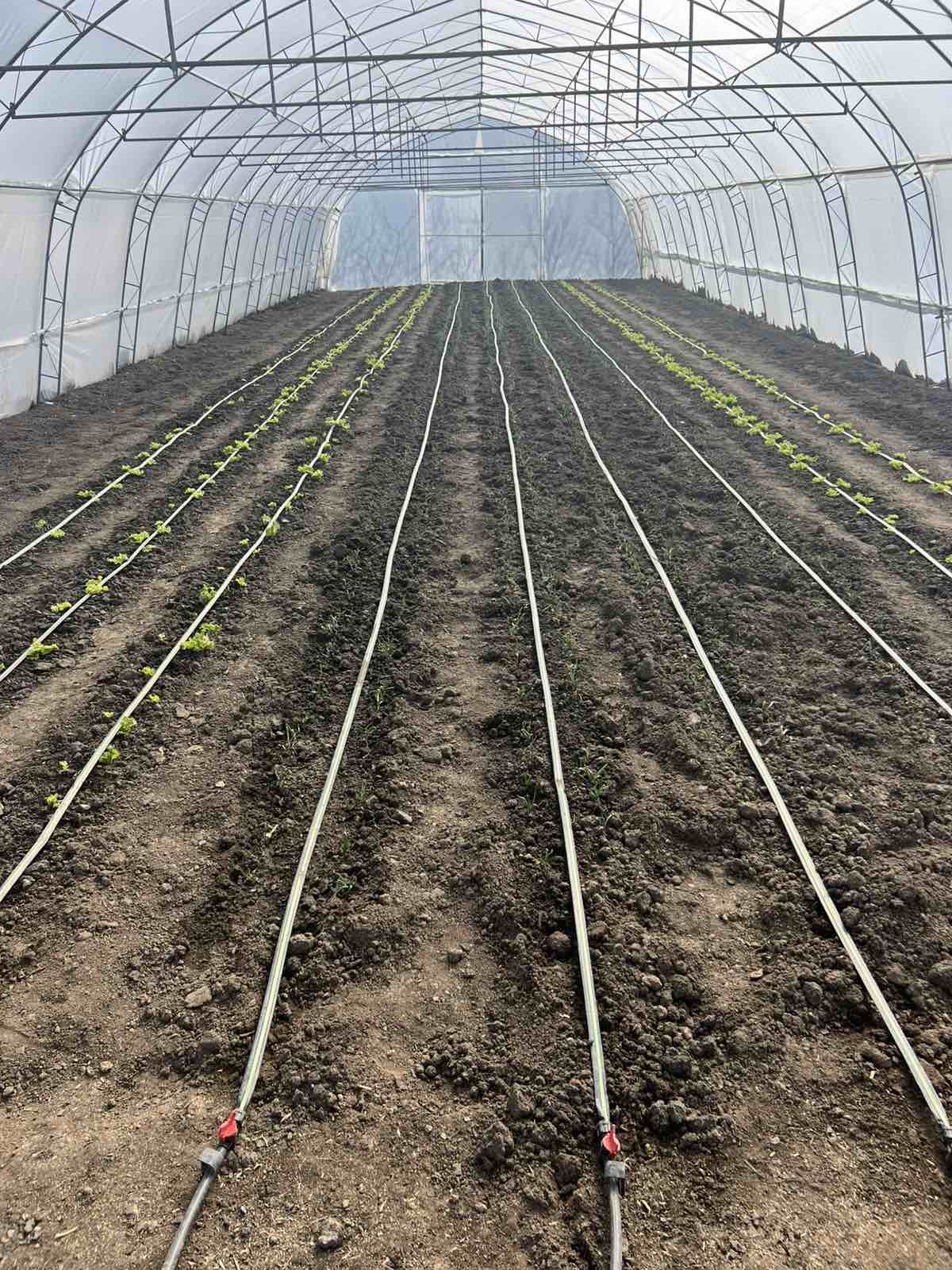 Община Казанлък възстанови оранжериите за екологично земеделие в село Долно Изворово
