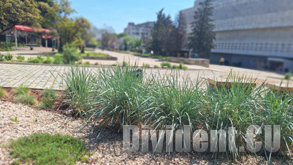 Нов детски парк изграждат на мястото на Стария съвет в Града на липите