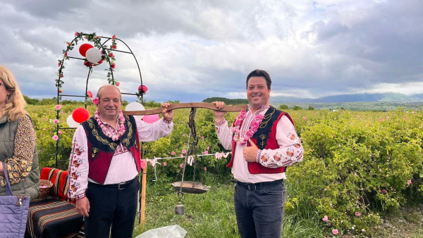 Розовите поля край Овощник събраха туристи от цял свят за първия розобер