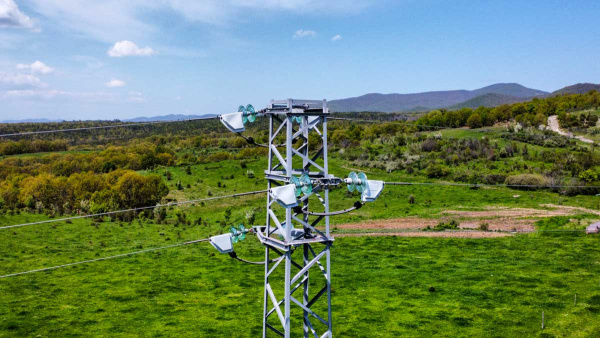 Електроразпределение Юг ще обезопаси 8700 стълба за опазване на световнозастрашени видове птици 