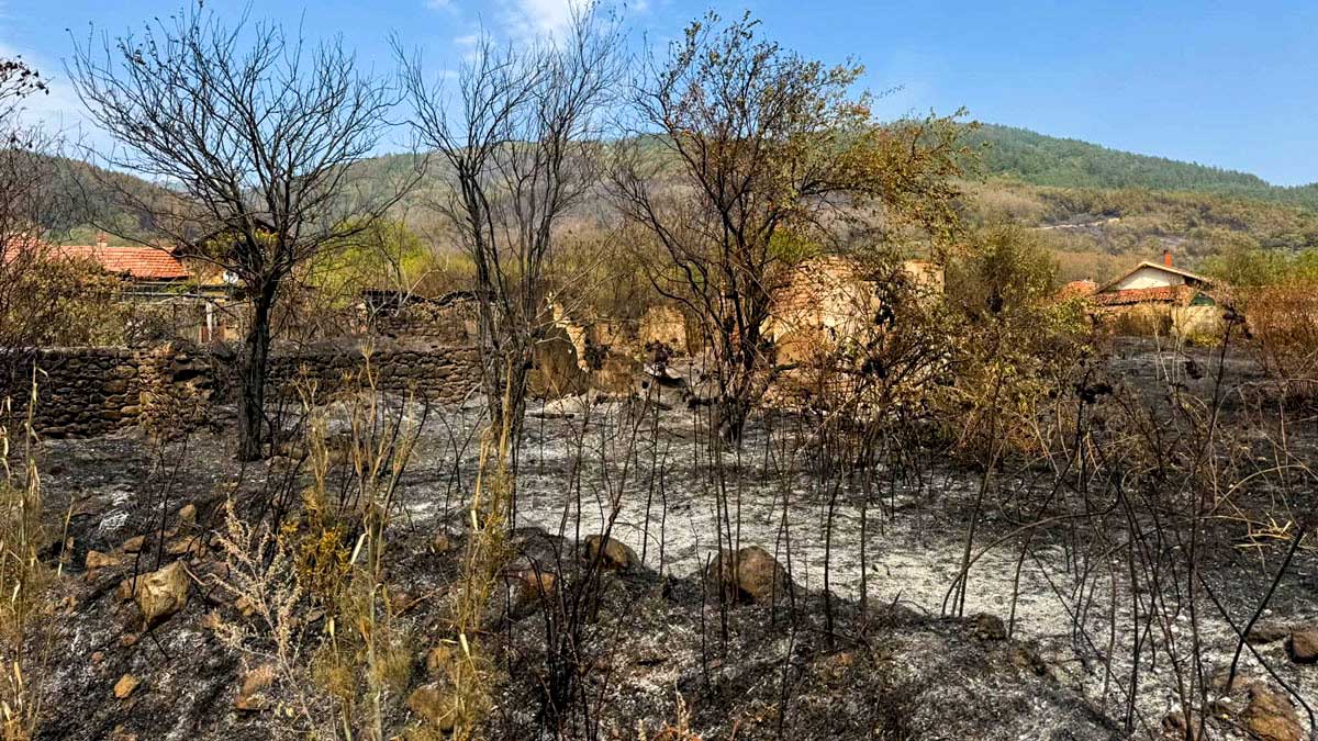 Арестуваха подпалвача на големия пожар над село Димовци