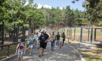 Зоопарк Стара Загора е домакин на ART IN THE PARK в празничната програма за Деня на града